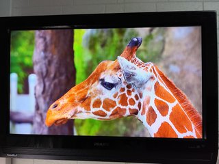 TV Philips 32PFL5522D/12 HD Panorámico
