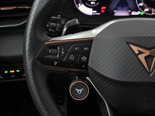 CUPRA TERRAMAR ETSI