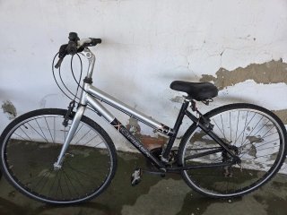 Bicicleta Orbea Sport Plata de Montaña