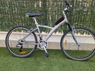 Bicicleta de montaña plateada
