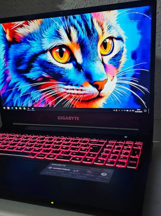 PORTATIL GAMING RTX