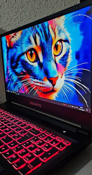 PORTATIL GAMING RTX