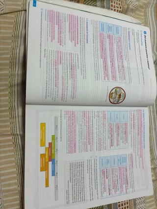 Historia de la Filosofía, 2 Bachillerato, Revuela