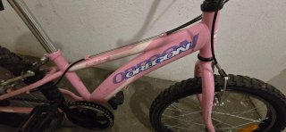 Bicicleta BH  Oregon 20 pulgadas Rosa