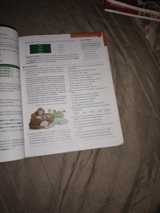 Lengua Castellana y Literatura, 2o. ESO.