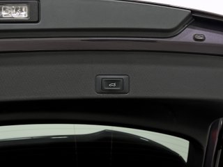 CUPRA TERRAMAR PHEV