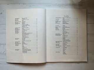 Orchester Probespiel Flöte Piccolo