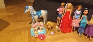 Set Principesse Disney Barbie, Armadio per vestiti e animali