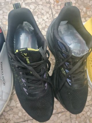 Lote de Zapatos Variados