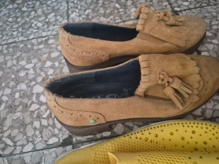Lote de Zapatos Variados