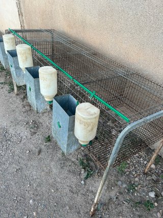 Jaulas para conejos.