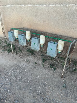 Jaulas para conejos.