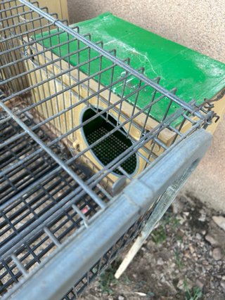 Jaulas para conejos.