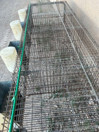 Jaulas para conejos.