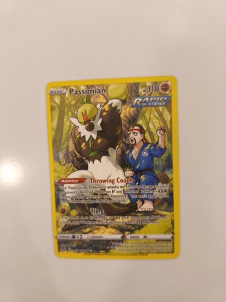 Lote Cartas Pokémon Servine, Snivy, Scraggy, etc.