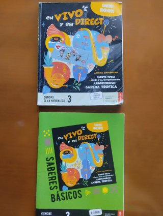 Matemáticas 3, Lengua, Naturales, Religion, Arte