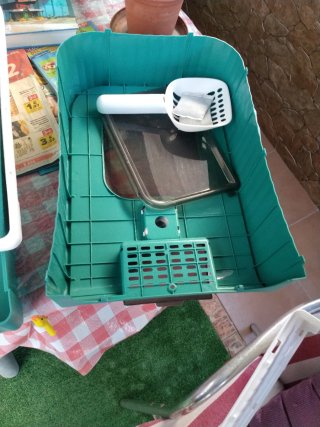 Arenero para gato