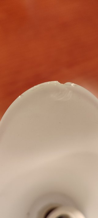 Tulipas para lámpara de cristal