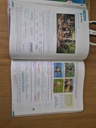 Lengua Castellana y Literatura. 1 Secundaria.