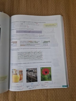Lengua Castellana y Literatura. 1 Secundaria.