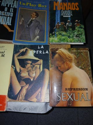 Lote de libros varios