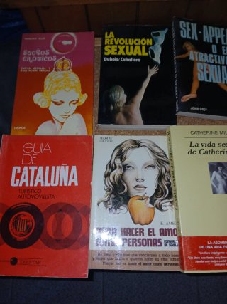 Lote de libros varios