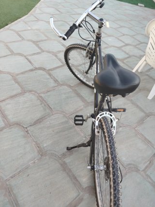Bicicleta de montaña