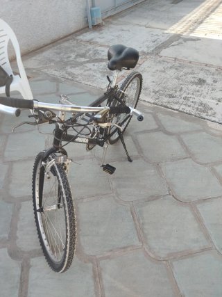 Bicicleta de montaña