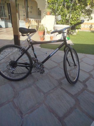 Bicicleta de montaña