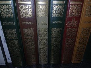 Lote Libros Clásicos Ilustrados