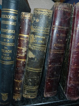 Lote de libros antiguos