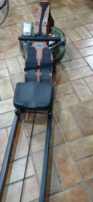 Máquina de Remo First Degree Viking2