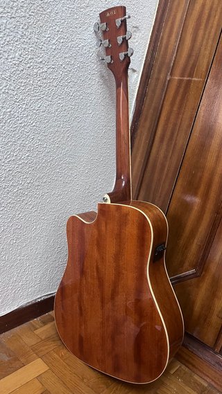 Guitarra Acústica Ibañez
