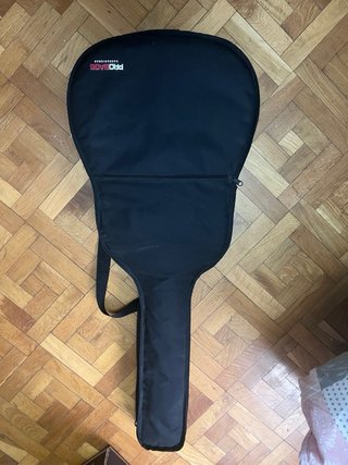 Guitarra Acústica Ibañez