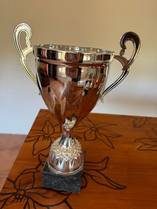 Lote de 5 Trofeos Deportivos