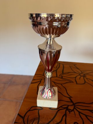 Lote de 5 Trofeos Deportivos