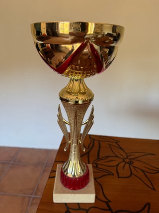 Lote de 5 Trofeos Deportivos