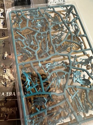 Warhammer: 5 Sequitors + 5 Chainrasps