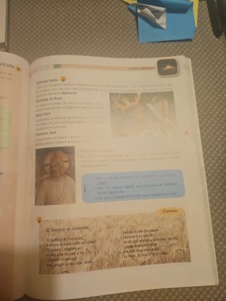 Religió catòlica, 4 Educació Primària