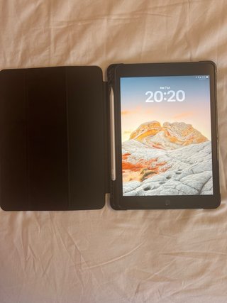 Apple iPad