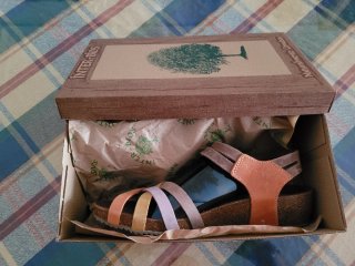 Sandalias Inter-Bios Naranja y Morado