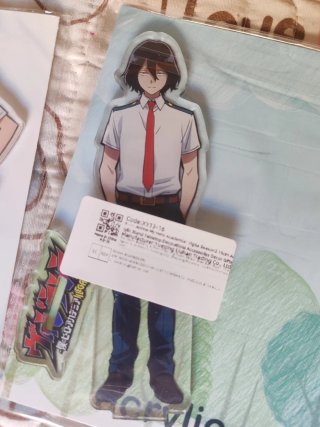 Figura Acrílica My Hero Academia Vigilantes