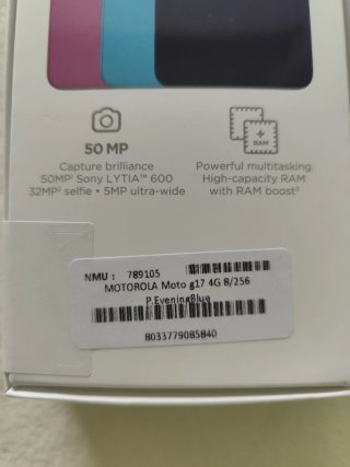 Motorola G17 e moto buds