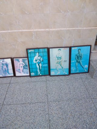 Coleção 8 Quadros Culturismo