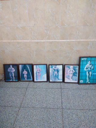 Coleção 8 Quadros Culturismo
