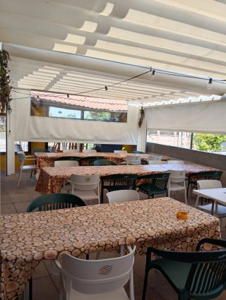 Carpa Hostelería Beige/Blanco