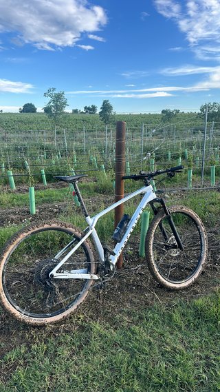 Bicicleta Rockrider RACE 900 G Carbono 29 Talla L