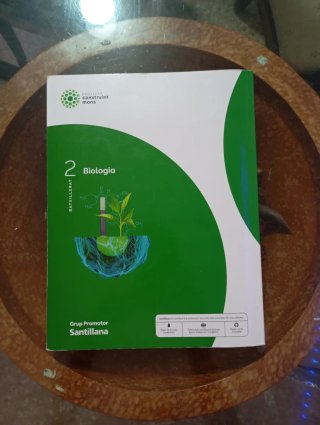 Biologia, 2 Batxillerat, Projecte Construint mons