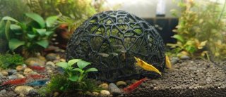 Bonita Cúpula casa media esfera para acuario