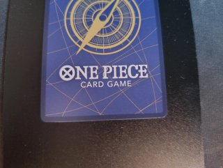 One piece 25th anniversary cinese